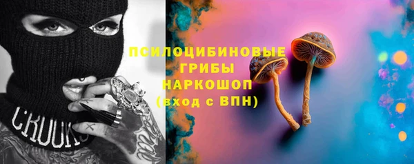 ешки Алзамай