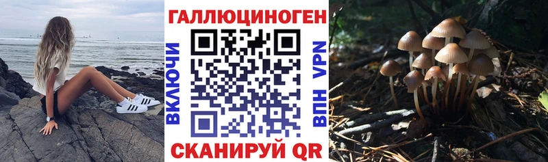 цена   Арзамас  Псилоцибиновые грибы мухоморы 