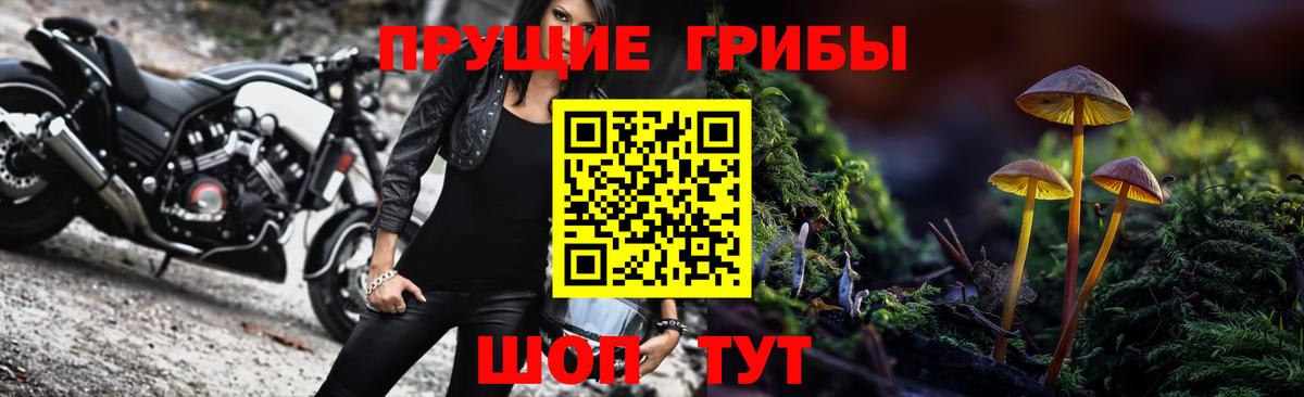 Арзамас  Галлюциногенные грибы Magic Shrooms  Галлюциногенные грибы Magic Shrooms  Вход с VPN 
